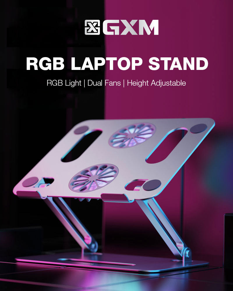 GXM RGB Laptop Stand Dual Fans Strong Winds Height Adjustable Sleek Design 180° Foldable Design Silver and Grey Version