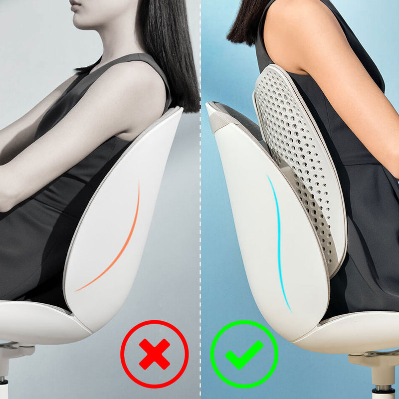 Leband Lumbar Support Back Cushion Adjustable Support Waist Back Cushion Pad Waist Protector for Office Chair & Car Seat